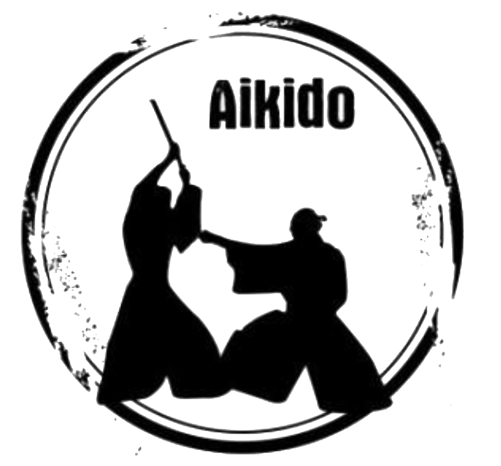 Aïkido: 2004 - 2008